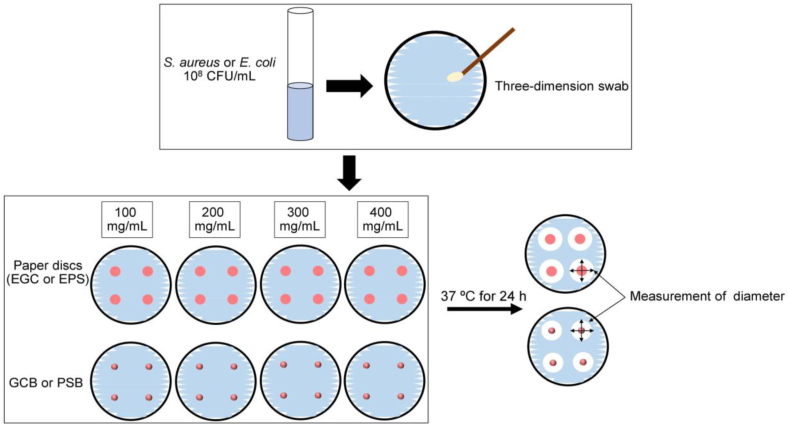 Figure 2