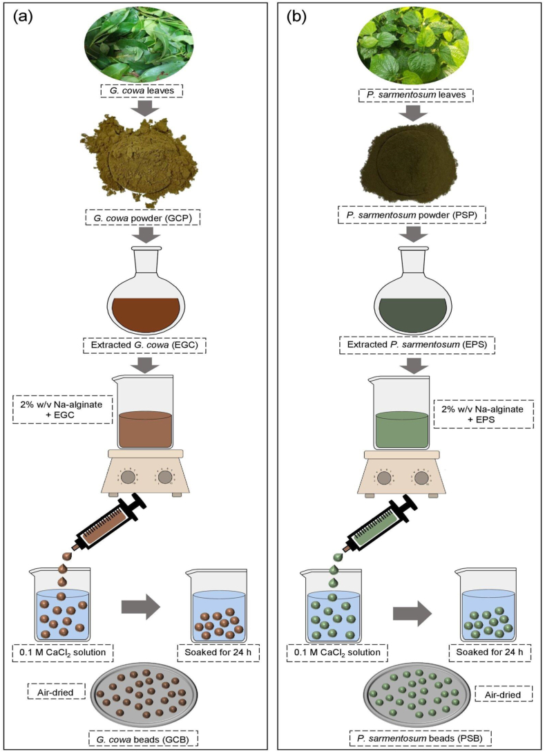 Figure 1