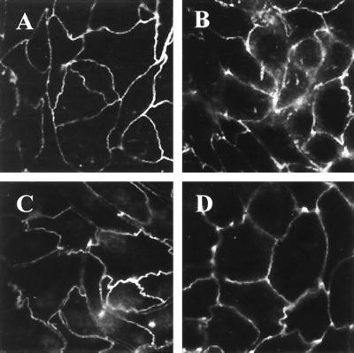 FIG. 8