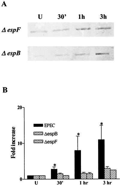 FIG. 6