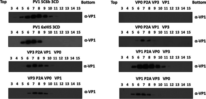 FIG 2