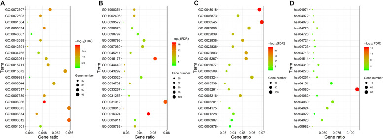 FIGURE 3