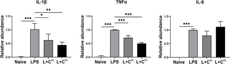 Fig 6