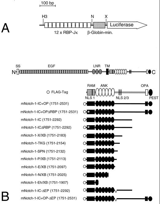 FIG. 1