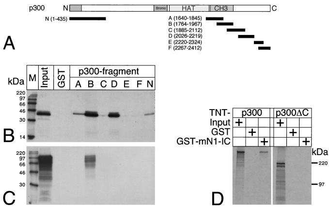 FIG. 8