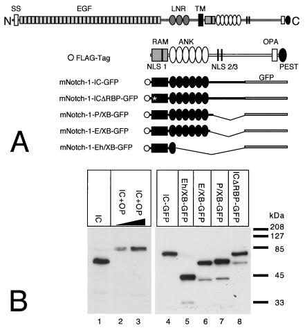 FIG. 6