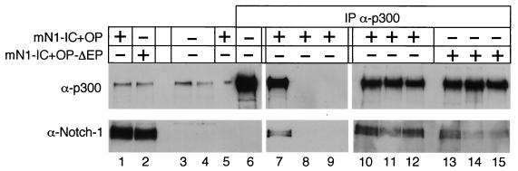 FIG. 10