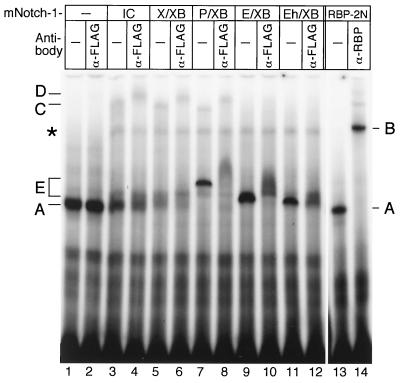 FIG. 5