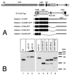 FIG. 6