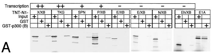 FIG. 9