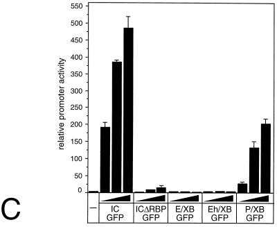 FIG. 6