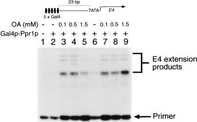 FIG. 6