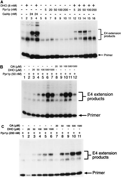 FIG. 5