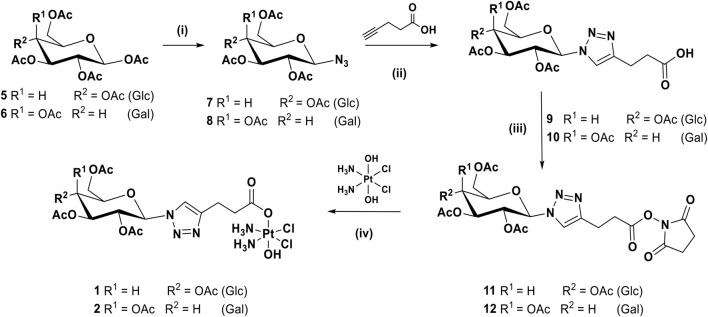 SCHEME 1