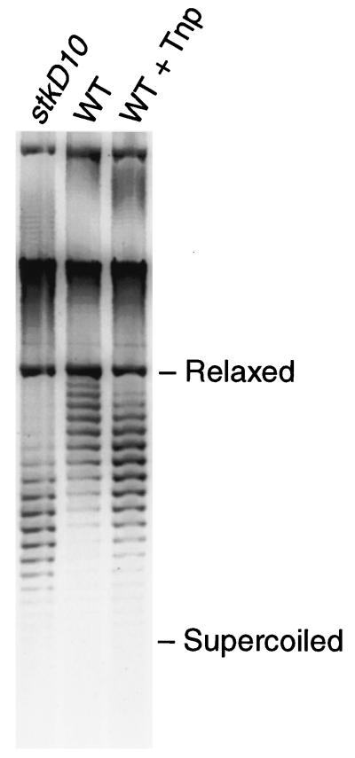FIG. 8