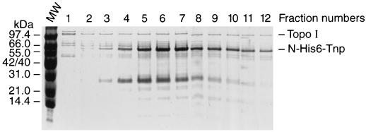FIG. 5
