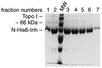 FIG. 6
