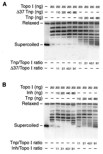 FIG. 9