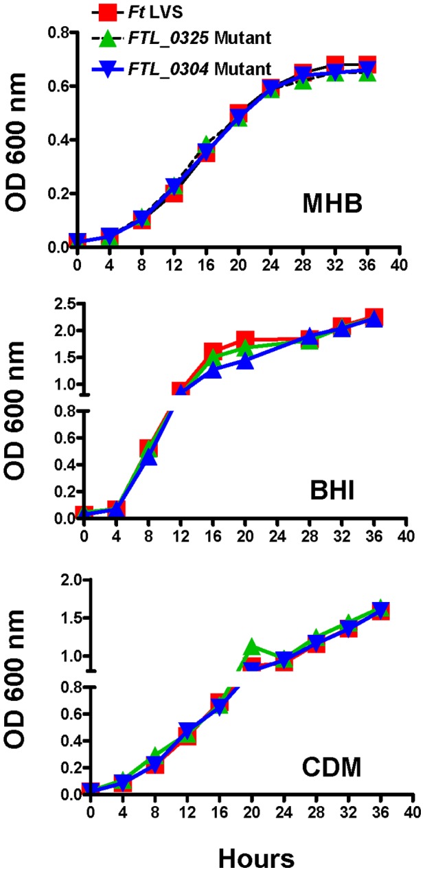 Figure 2