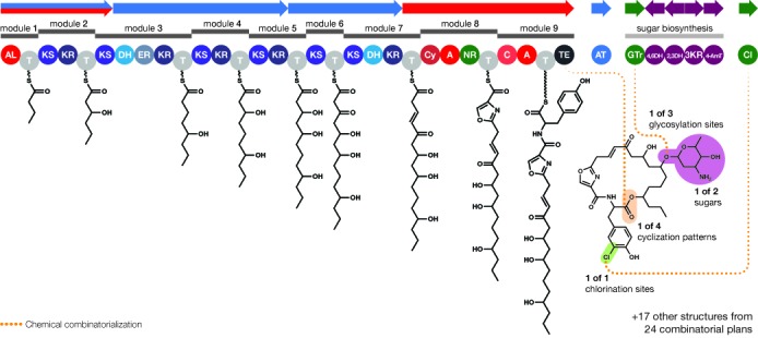 Figure 5.