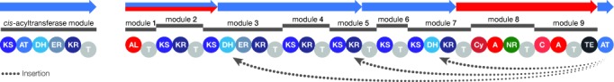 Figure 4.