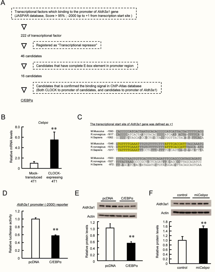 Figure 2—figure supplement 1.