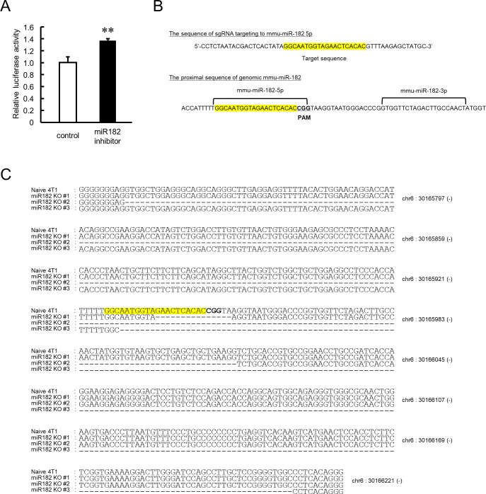 Figure 6—figure supplement 1.