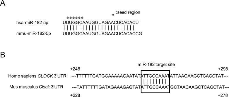 Figure 7—figure supplement 3.