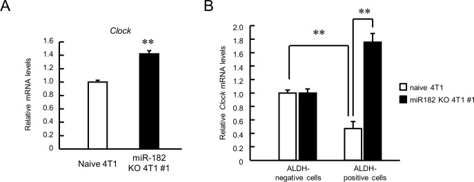 Figure 7—figure supplement 1.