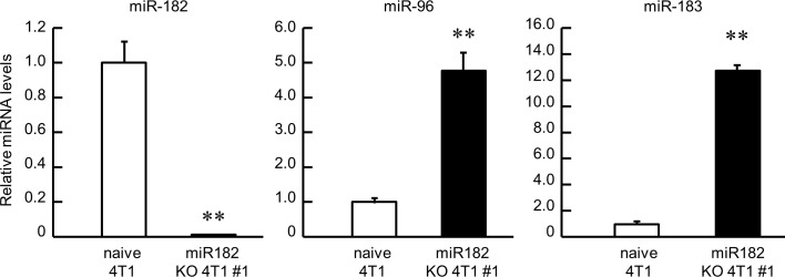 Figure 6—figure supplement 2.