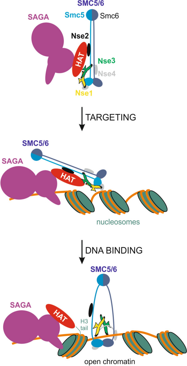 Fig. 6
