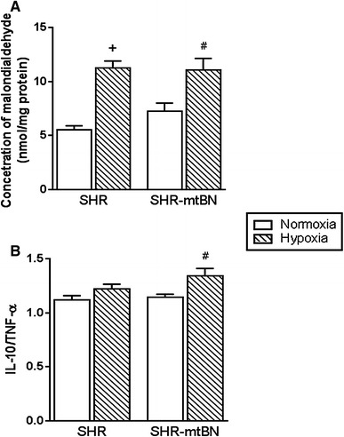 Fig. 6