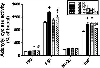 Fig. 2