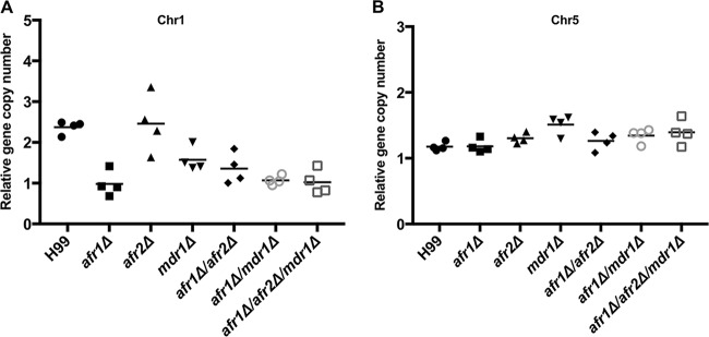 FIG 3