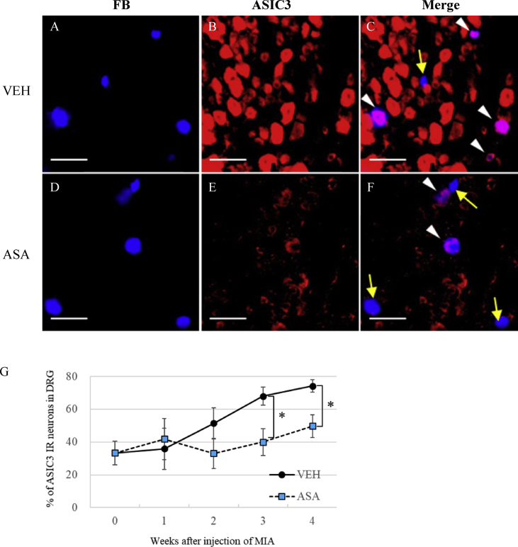 Figure 6