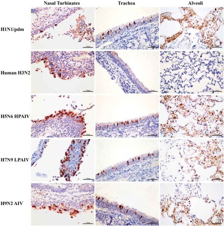 Figure 6.