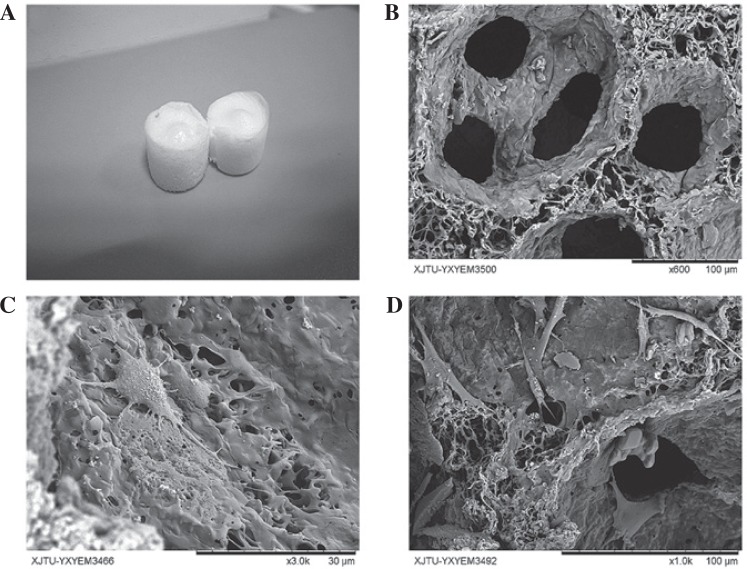 Figure 3.