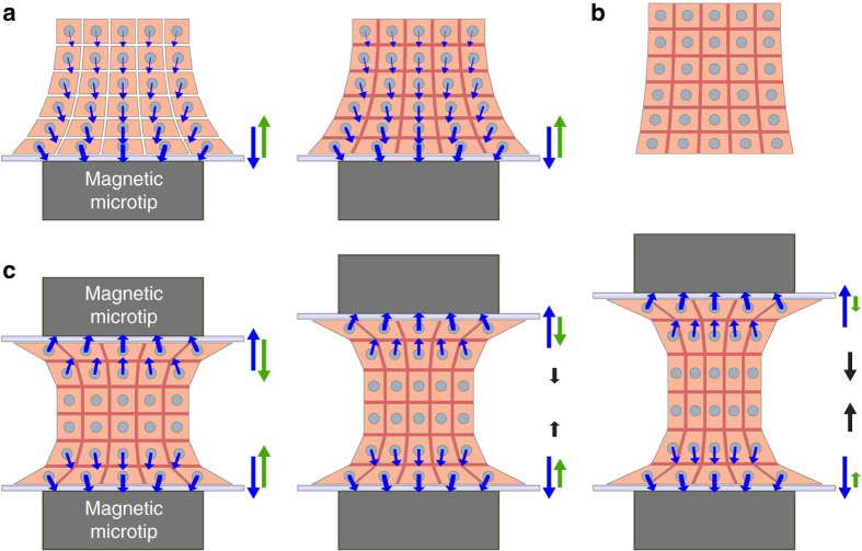 Fig. 7