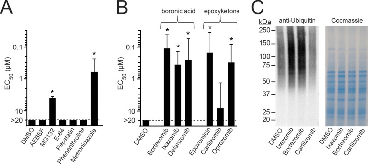 FIG 1