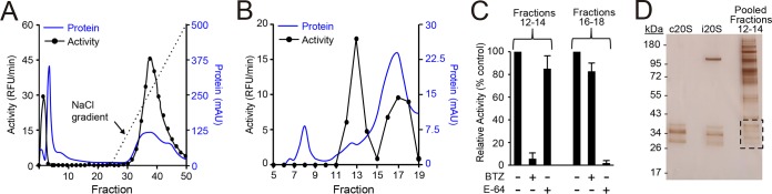 FIG 2