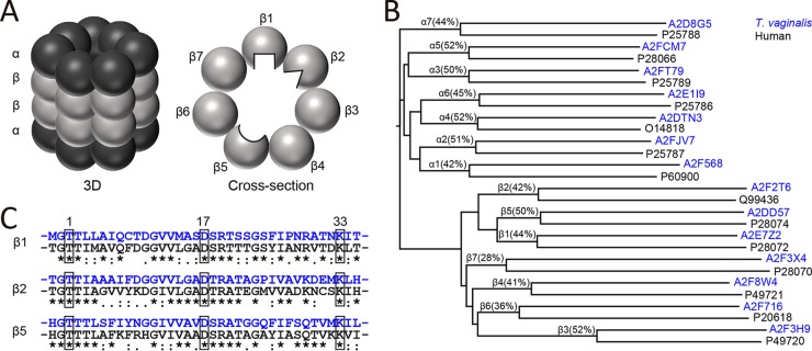 FIG 3