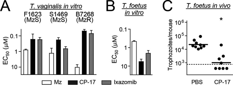 FIG 6