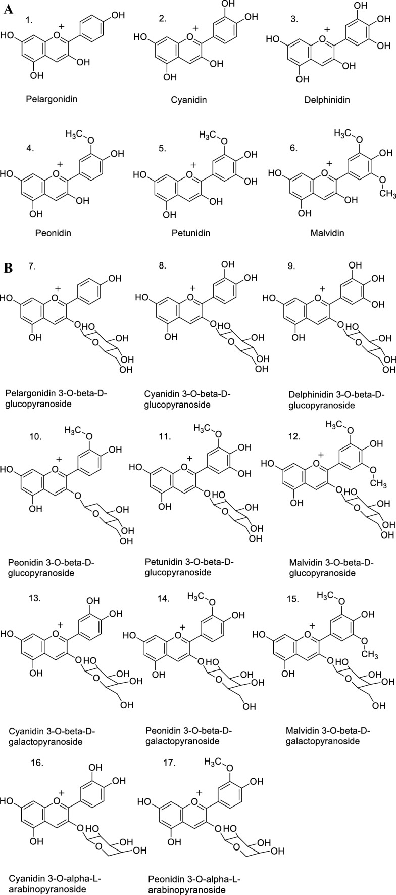 Fig. 1