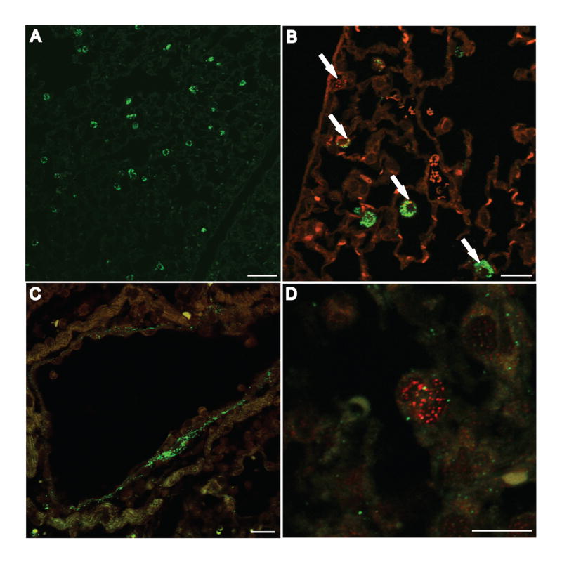 FIG 3