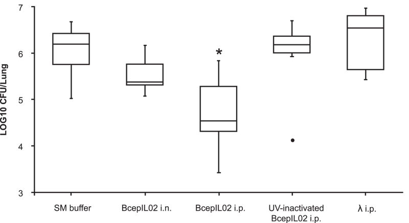 FIG 6