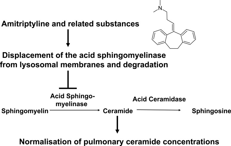 Fig. (3)