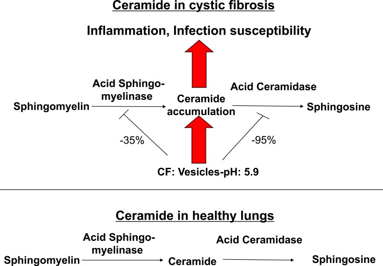 Fig. (2)