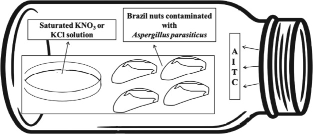 JSFA-8527-FIG-0001-b