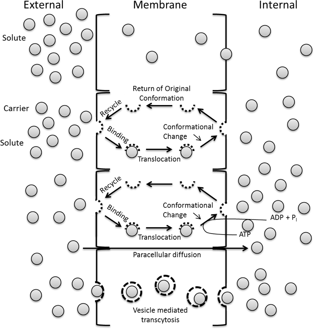 Figure 5.