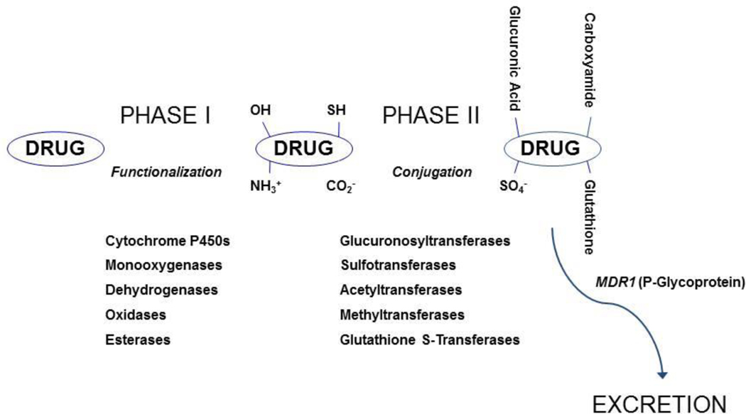 Figure 4: